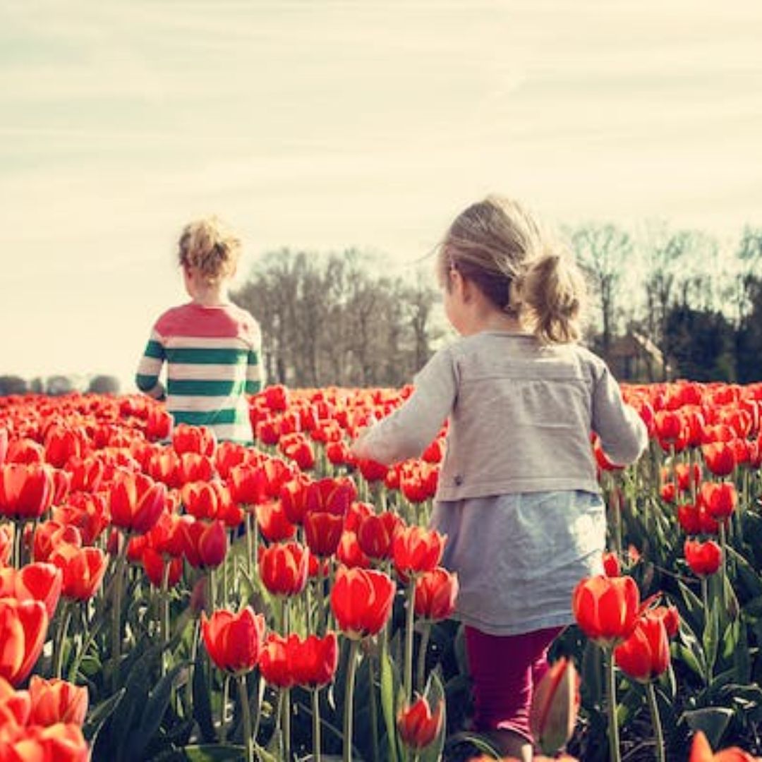MaggieMaeBlogs's tweet photo. Springtime https://t.co/tgvdOfOogh