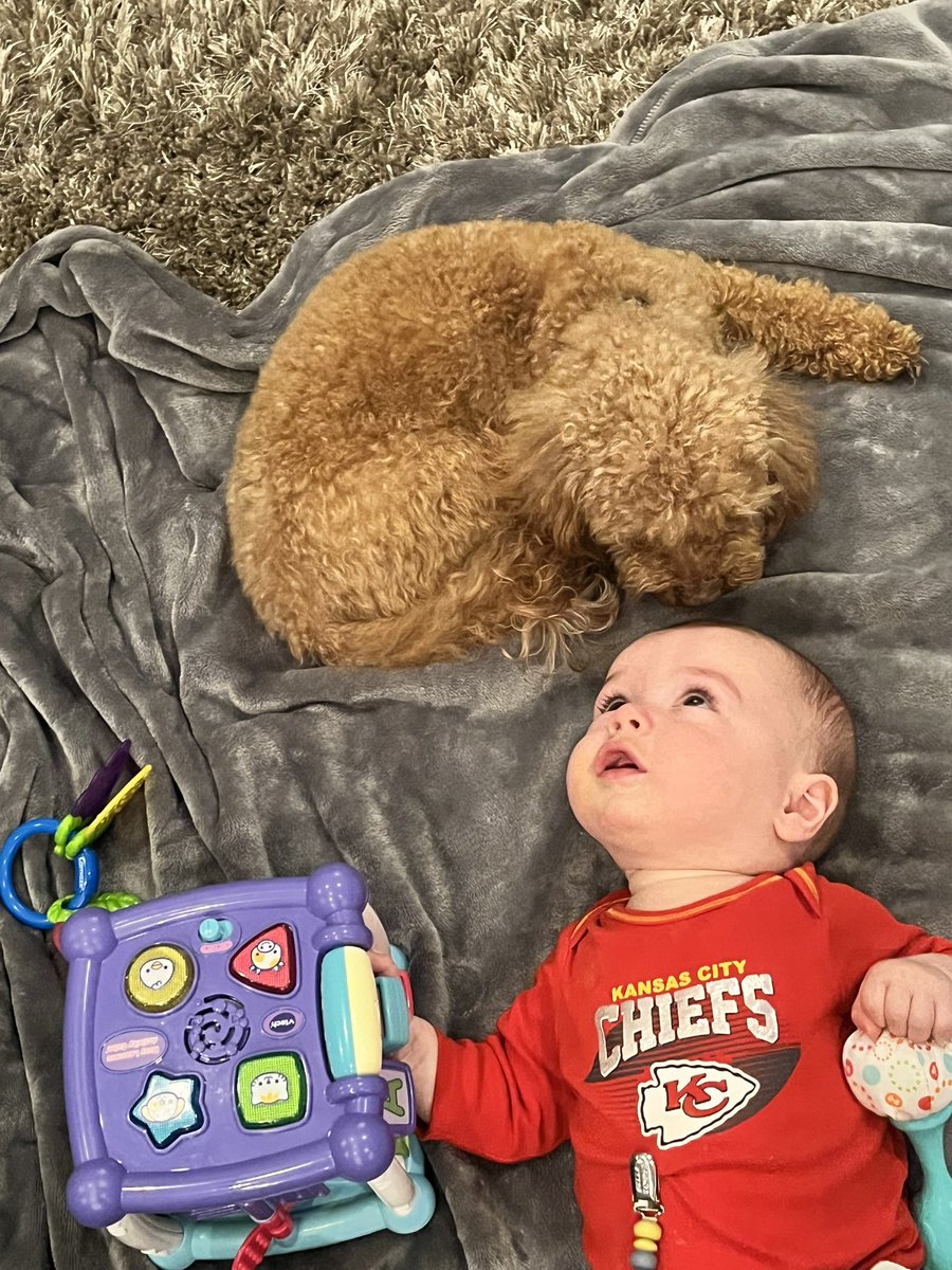Aubmoss1's tweet photo. Let’s GOOOO ❤️💛
#RedKingdom #KansasCityChiefs #KansasCity #SuperBowl #ChiefsKingdom #Chiefs #babyboy #baby #chiefsbaby #letsgochiefs #family #ValentinesDay #Valentinesbox https://t.co/rSdJflCaxO
