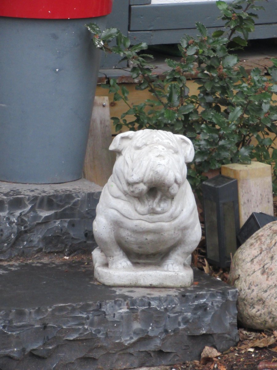 TorPoet's tweet photo. Cats, Dogs and Other Guardians
https://t.co/s4sO3QRJgn
#Toronto #dogs #pugs #cat #griffins #elephant #carp #guardians #frontsteps #frontdoor #WordPress #travel #photography #Ontario https://t.co/hsuQY12mNU