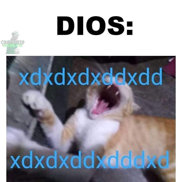 m0tsi2's tweet photo. @Vaniatruiste https://t.co/2OWoeKbJ0O