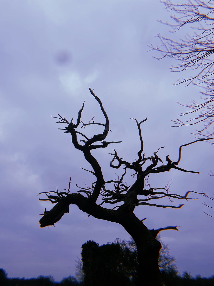 Elizabeth Gracie (@moielizabeth) on Twitter photo 