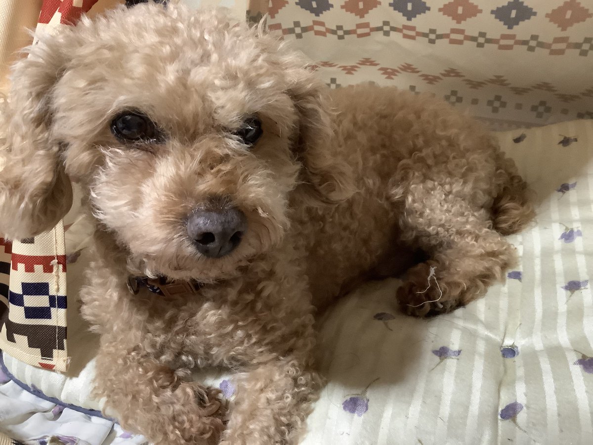 着床けいれんはいつ始まりますか?