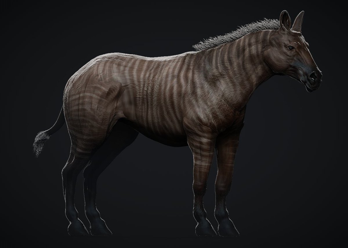 vankev's tweet image. Day 12 Anchitherium

#FossilFebruary #FossilFebruary2023