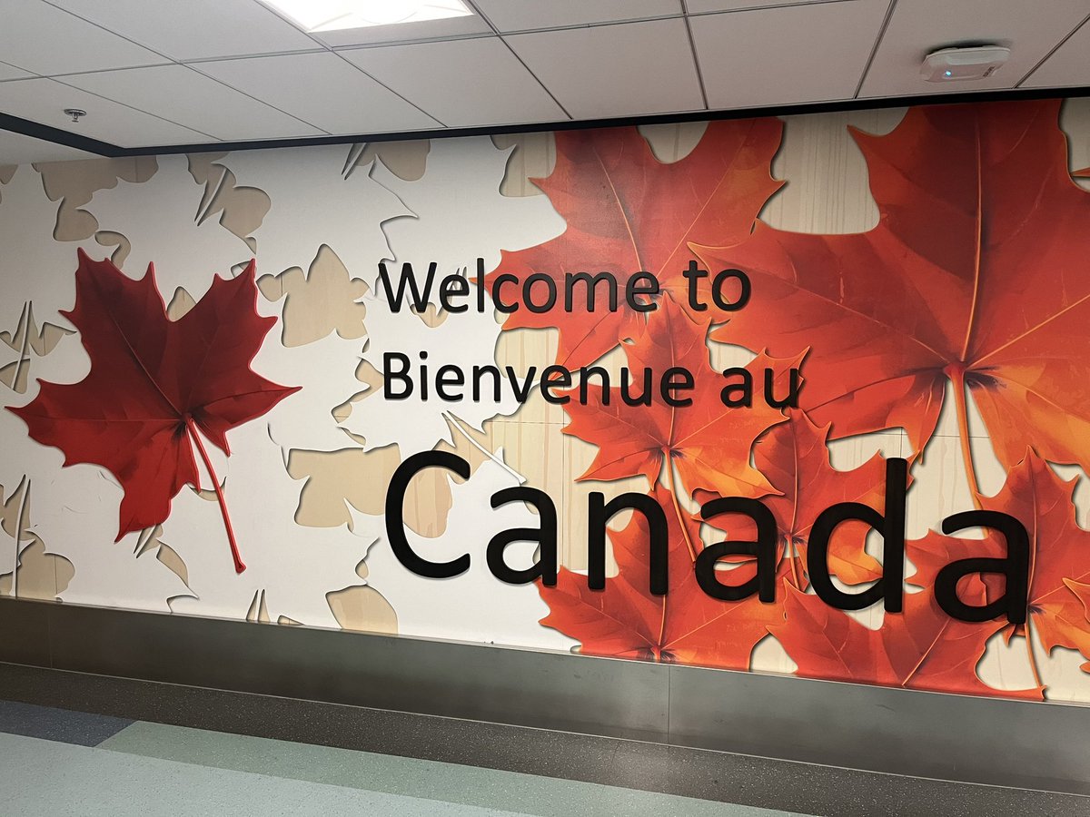 alyugueros's tweet image. Otro año más participio en el proyecto #OBSERVA_ACCION, esta vez en Canadá 🇨🇦 

Gracias al @CFPIdiomas por hacer que estas aventuras sean posibles.

Espero venir cargado de ideas nuevas 💡
@educacyl @CFIE_Segovia #COMUNICA_ACCION @ceiparcipreste #formacionCyL #internacionalizaCyL