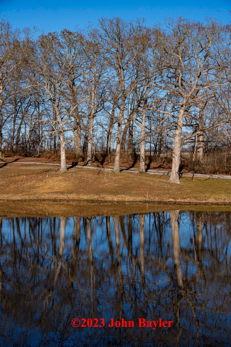 JohnBaylerPhoto's tweet image. I love reflections, especially with a blue sky. #reflections #waterreflections #blue #bluesky #bluewater #johnbaylerphotography #charliebrownpark #nikon #nikond6 #southernillinois #midwest