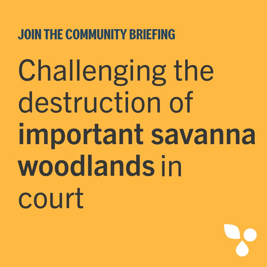EJ_Aus's tweet photo. Did you know we’ve got the world’s largest remaining intact savanna right in our backyard? 

That’s why we’re taking a legal case to the Northern Territory Supreme Court to stop a multinational corporation from bulldozing it. https://t.co/20Po68oiSl