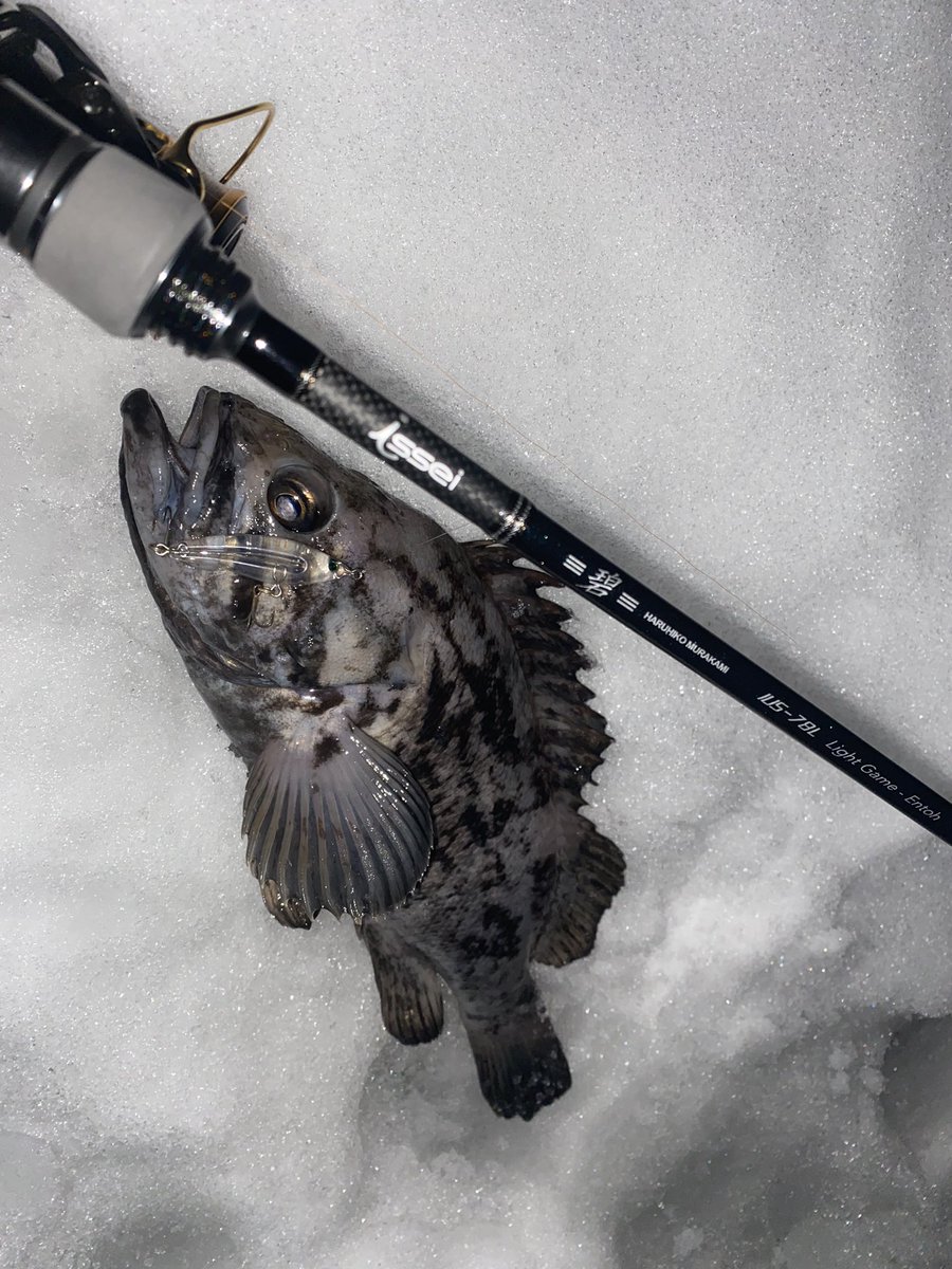 村上晴彦 - Search / X