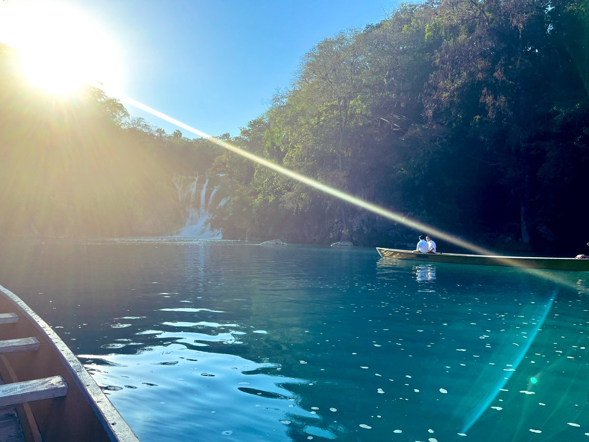 Dr. Villano tweet media