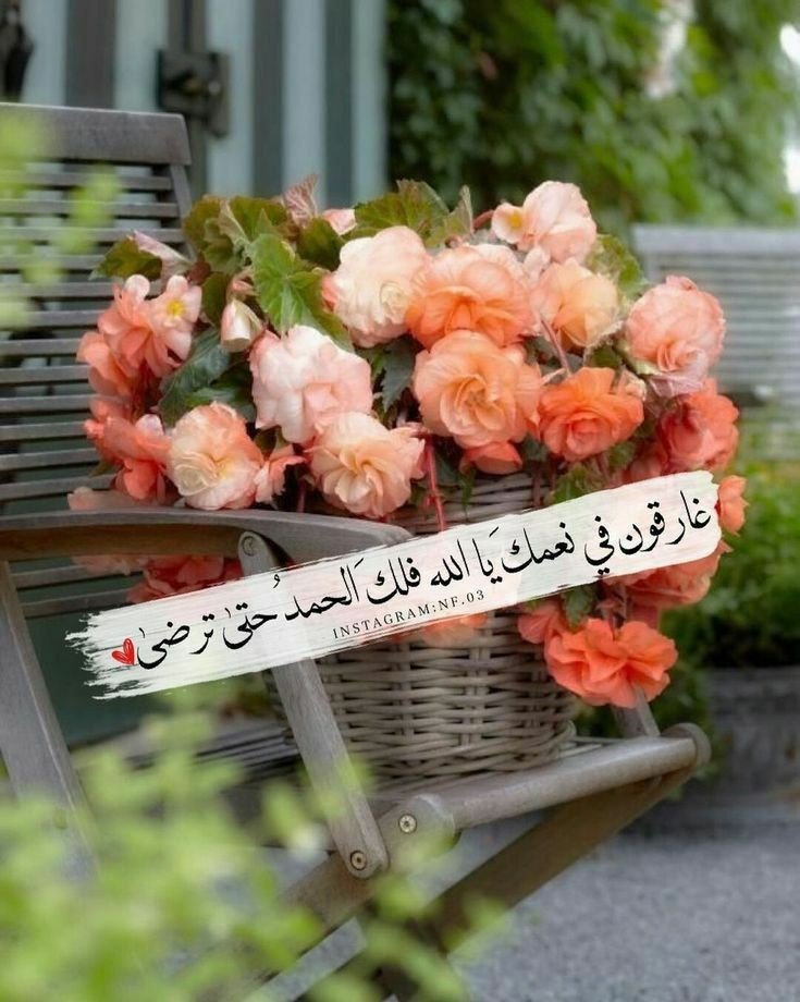 ✨منال✨ tweet media