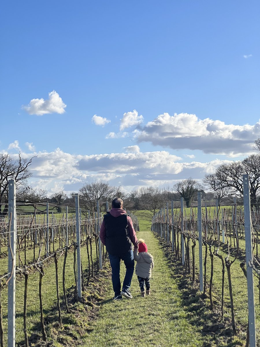 Winbirri Vineyards tweet media