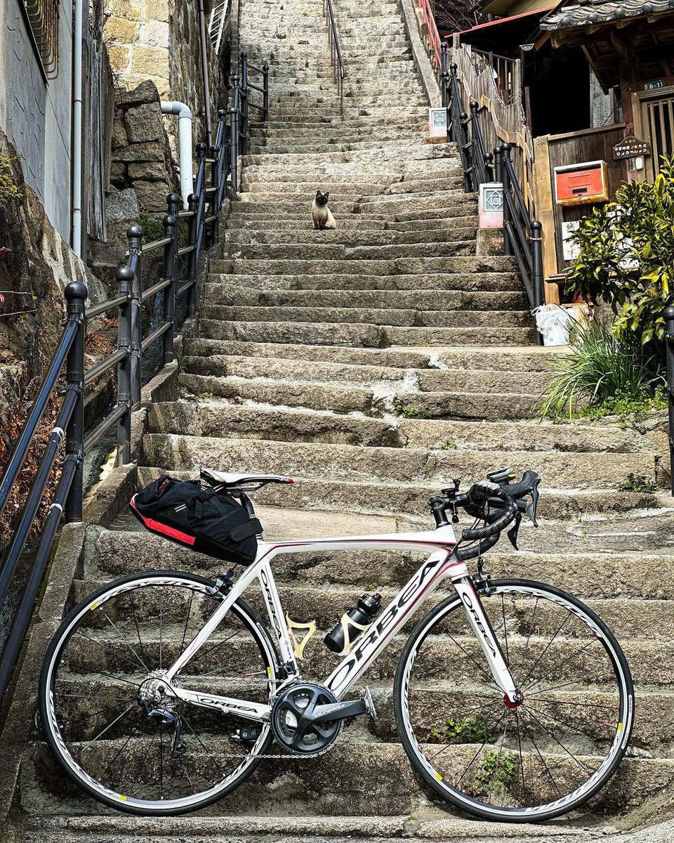 The staircase leading to the viewpoint.😻

#cycling #cyclingroad #cyclingshoes #cyclingselfie #cyclinggear #cyclingtrip #cyclingtraining  #cycling #cyclinglifestyle #cyclingaddict #cyclingteam #cyclingpassion #frolic_cycling