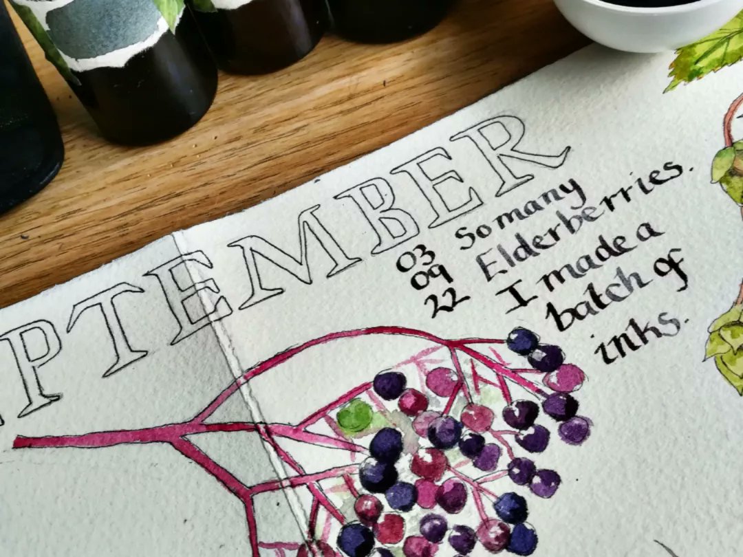 anghenn's tweet photo. September memory gathering ripe elderberries and making handmade inks. It's magic watching it turn colour to this beautiful deep blue I've used in the writing. I'll be sharing a review of last year's journal over on Patreon. https://t.co/C8mZKOnWQm #naturejournal #handmadeink https://t.co/5NcfOkfjOv
