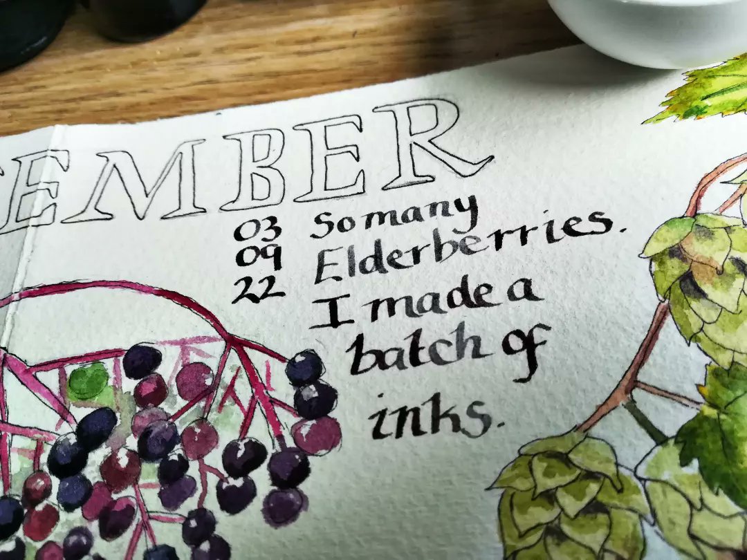 anghenn's tweet photo. September memory gathering ripe elderberries and making handmade inks. It's magic watching it turn colour to this beautiful deep blue I've used in the writing. I'll be sharing a review of last year's journal over on Patreon. https://t.co/C8mZKOnWQm #naturejournal #handmadeink https://t.co/5NcfOkfjOv