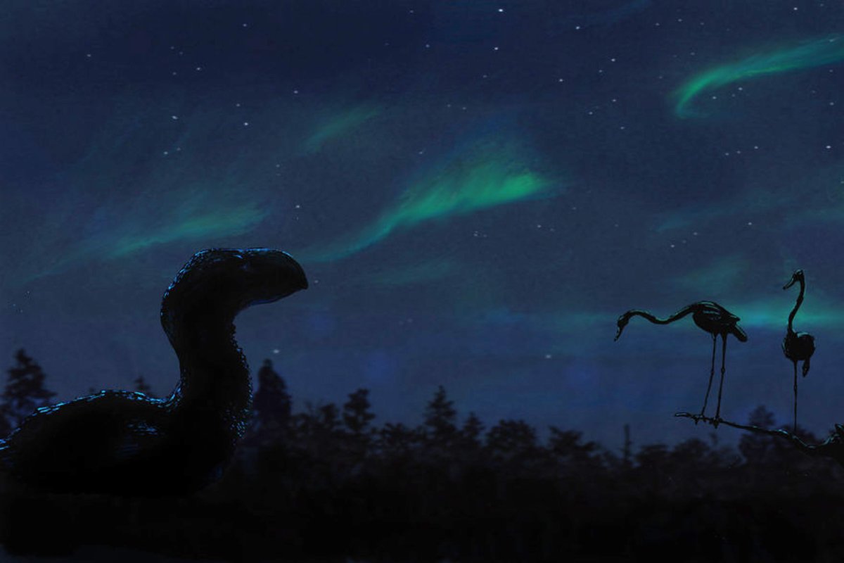 Edaphosaurus's tweet photo. The forested poles of the Eocene are such a magical concept that I'd really love to see explored in more paleoart. He's a piece showing the Canadian Arctic from the same time period featuring Gastornis and Presbyornis, by @JoschuaKnuppe. https://t.co/O3Fmey2ixt