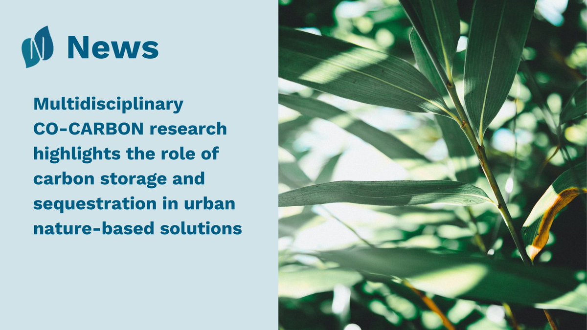 NetworkNatureEU's tweet photo. Are you familiar with the #COCARBON project & their multidisciplinary research on #carbonstorage & sequestration in urban #naturebasedsolutions🌿?
Their holistic approach ensures that stakeholders are included in developing urban green infrastructure 📰https://t.co/840wkdXpZP https://t.co/xeGGE23Kpb