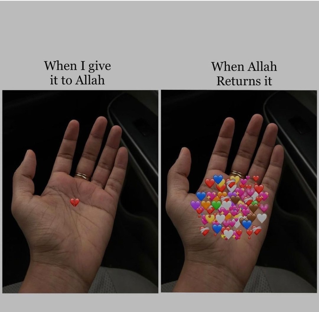 islamicfreedom's tweet photo. Alhamdulillah https://t.co/87nIMDM3Ew