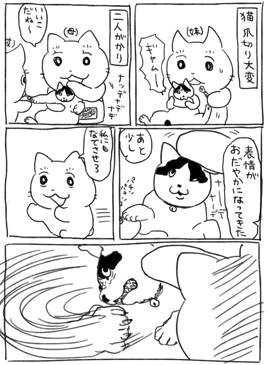 いつもの 