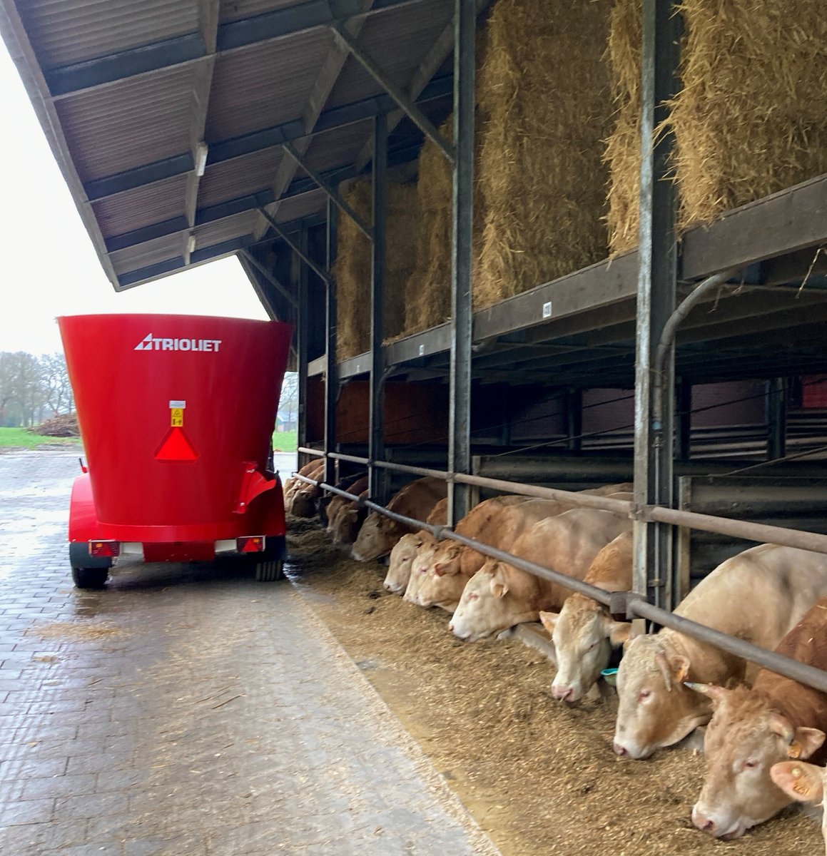 Trioliet voermengwagens worden wereldwijd ingezet op melk- en vleesveebedrijven. Deze 12 m3 Solomix voermengwagen voert dagelijks het vleesvee op een boerderij in het mooie Twentse land.
#voermengwagen #trioliet #vleesvee