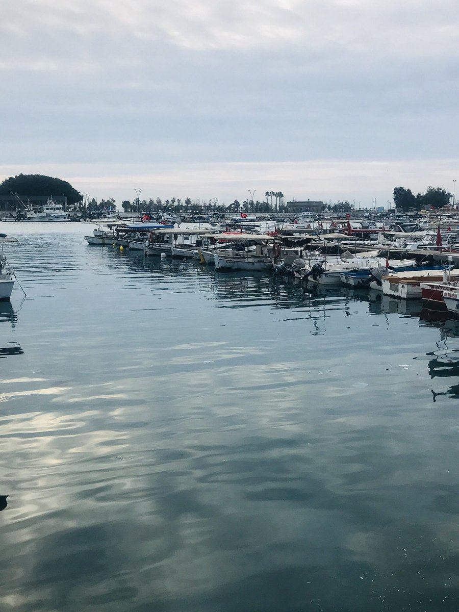 fatosozay's tweet photo. @visitmersin https://t.co/xmka8ptkpu