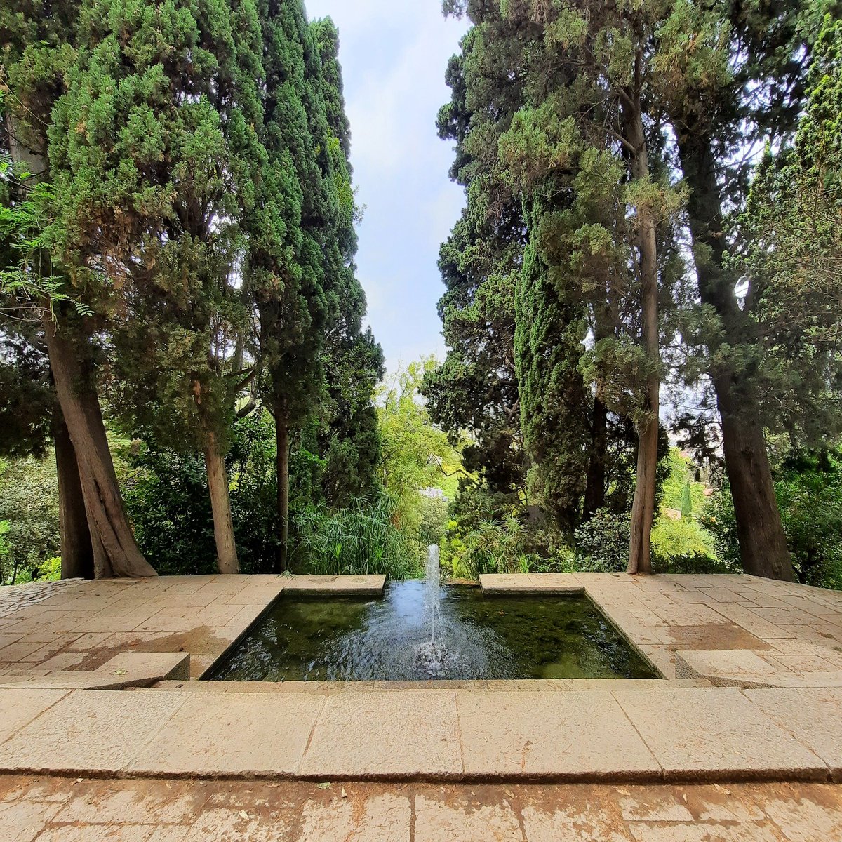 fundarqmx's tweet photo. 49) #aprendiendodebarcelona
#agua #verandas y #espaciosverdes
En los alrededores de @fundaciomiro hay jardines realizados para la Exposición Universal de #Barcelona de 1929 por el #arquitecto #paisajista Jean Claude Nicolas Forestier con #terrazas #pérgolas #Plazoletas y #fuentes https://t.co/GCZHs1ZXOP