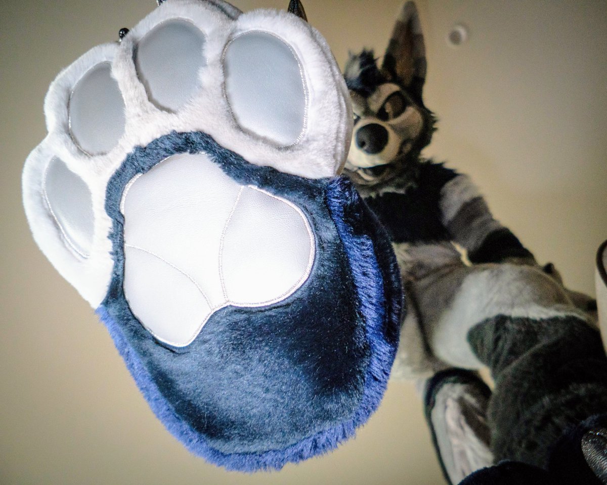 Riverwulf's tweet image. C'mere and get steppies 🐾😈

#MacroMonday 
📸@ovenotter