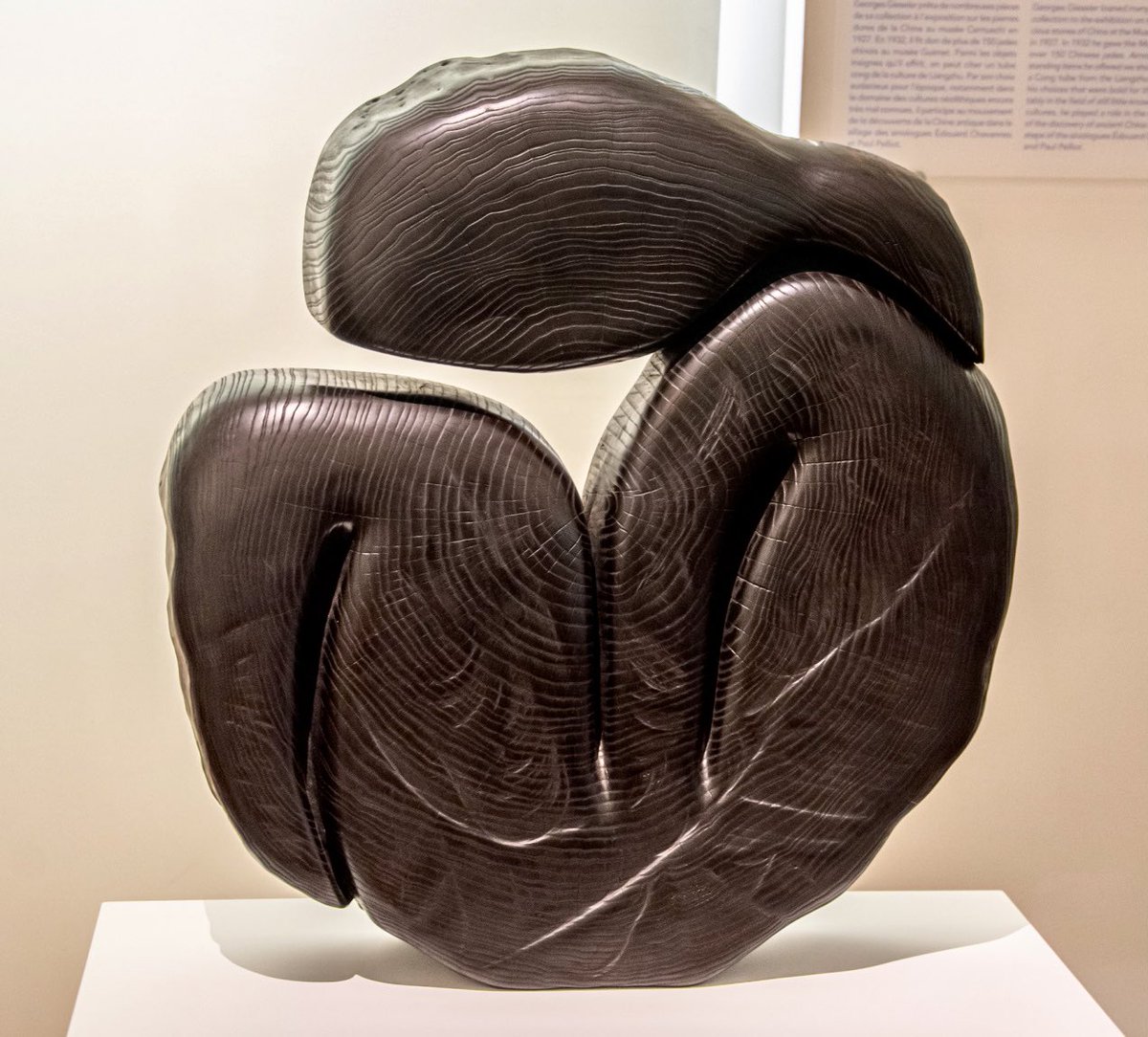 Olivia 🏛🦇 tweet media