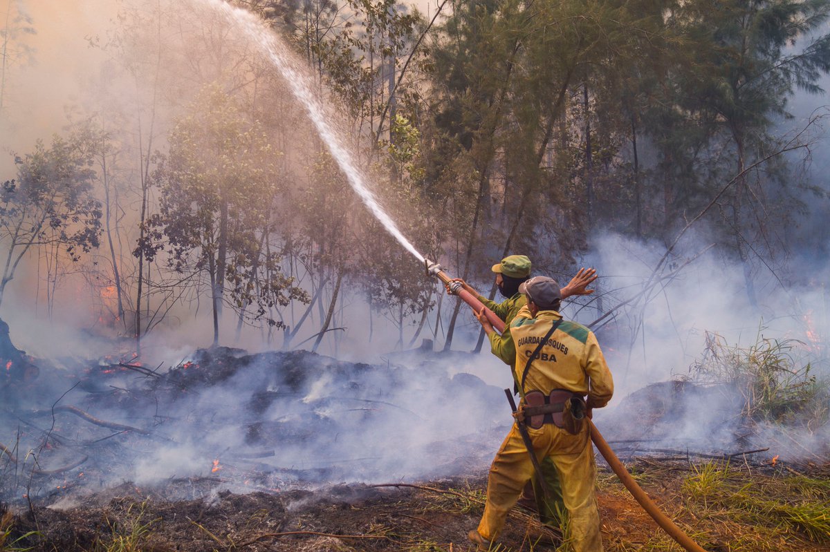 #Mayarí, #Holguín: continúa el enfrentamiento al incendio forestal en Pinares de Mayarí. Todas las fuerzas, aéreas y terrestres, continúan trabajando sin descanso. 

🇨🇺#CubaPorLaVida 💖#MejorEsPosible 💖