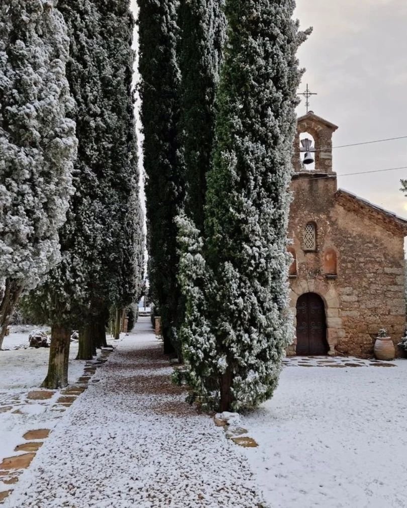 visitcatalonia's tweet image. A magical and snowy morning in Barcelona! 😍❄️

After last night's snowfall our beloved city looks even more spectacular. ✨

#InLOVEwithCatalonia ❤️ 

📸 @alfons_pc &amp;amp; AbadiaMontserrat (IG)