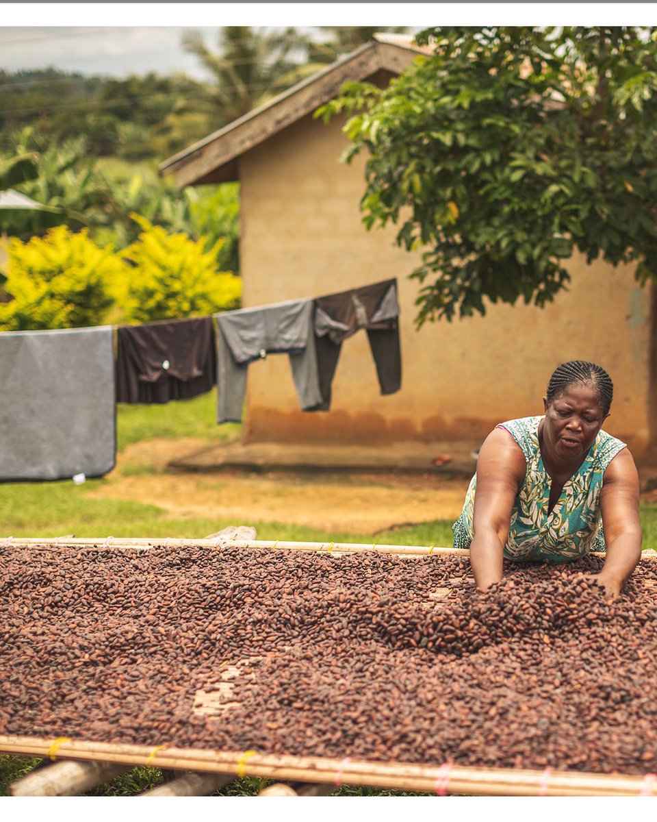 Chris Terry tweet media