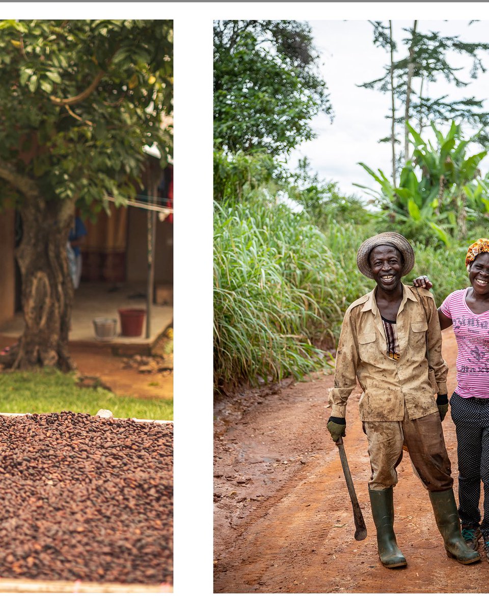 Chris Terry tweet media