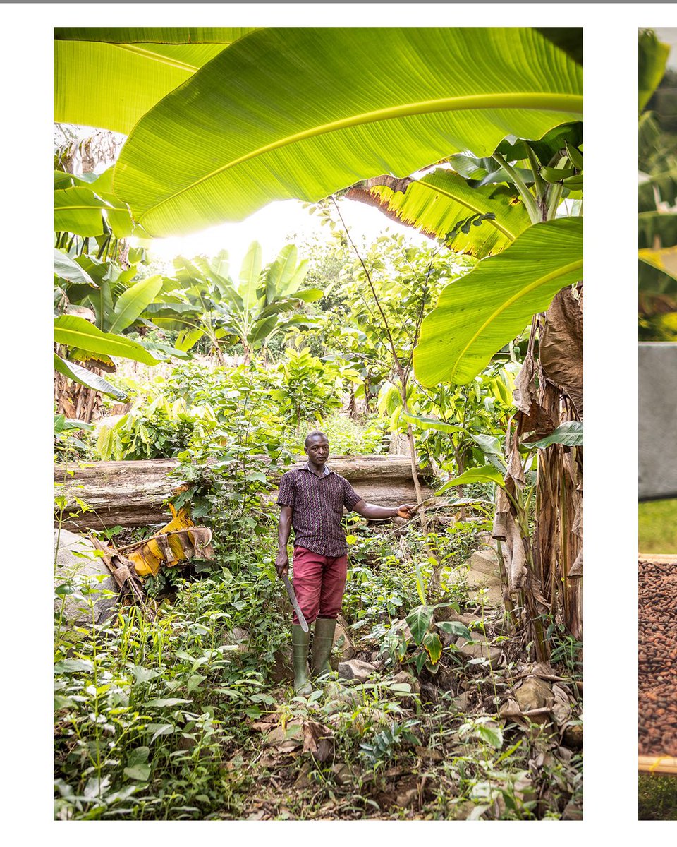 Chris Terry tweet media