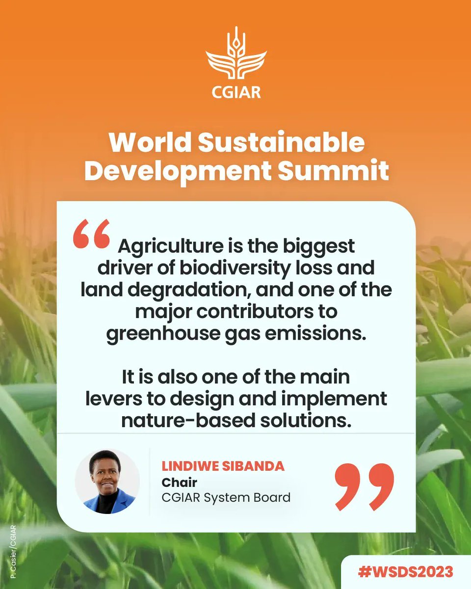 CGIAR's tweet image. At last week&apos;s #WSDS2023, our System Board Chair @lmsibanda spoke to nature-based solutions for addressing the #ClimateCrisis &amp;amp; ensuring food security. 

Watch the recording 👉  on.cgiar.org/3XNS9X8 

#OneCGIAR #Act4Earth @teriin