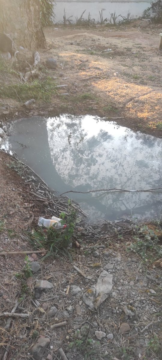 JorgeILG89's tweet photo. Hasta cuándo con estás cochinadas aguas servidas parque colindante a Villa de las Mercedes @reformaseoye @alcaldiadechi3 @AlcadiaDeChitre @JCMonagrillo @TReporta @AlvaroAlvaradoC @MINSAPma @ReportaAzuero @HerreraNoticia @Chitreanos @gobdeherrera @Noticias_Azuero @azueroinforma https://t.co/9IfipbLLf6