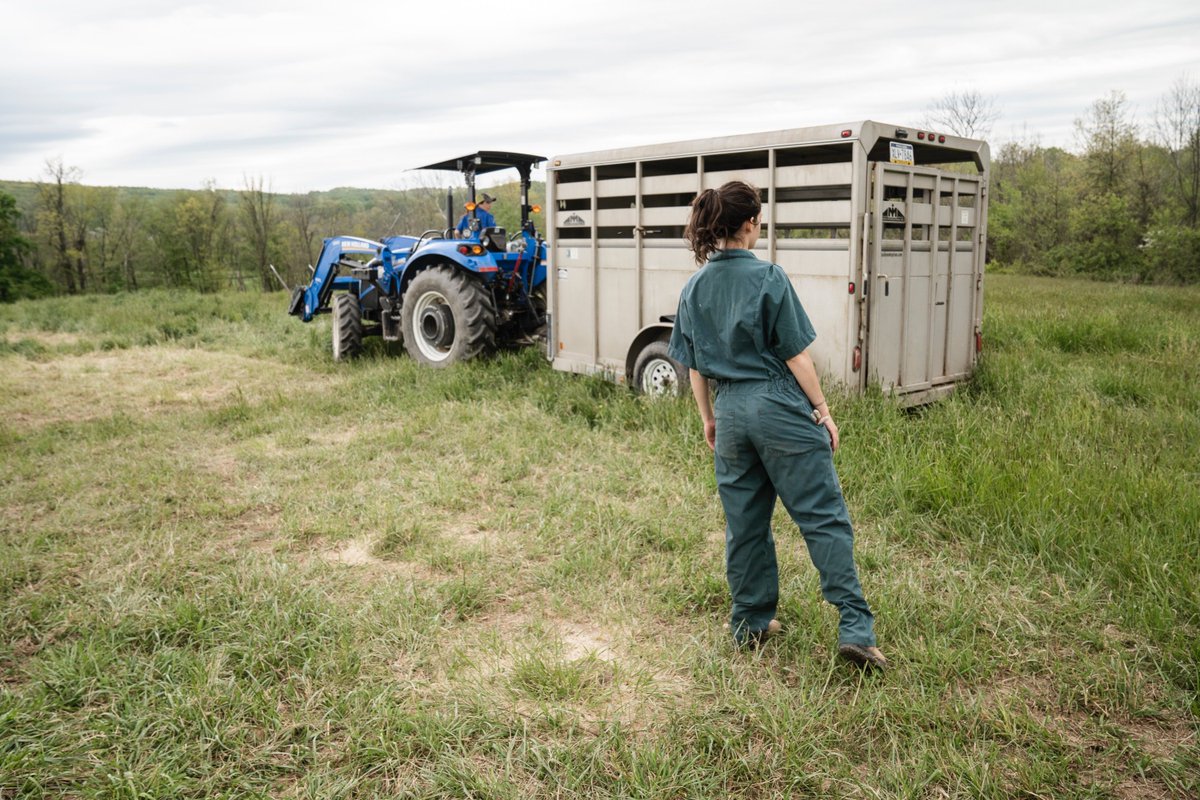 Do you have an innovative, entrepreneurial idea that contributes to the evolution of rural countrysides? 👩‍🌾 

There’s 2 days left to send your application for the Young Friends of the Countryside Entrepreneurship awards for 2023! 📥

Find more here 👉 yfcs.eu