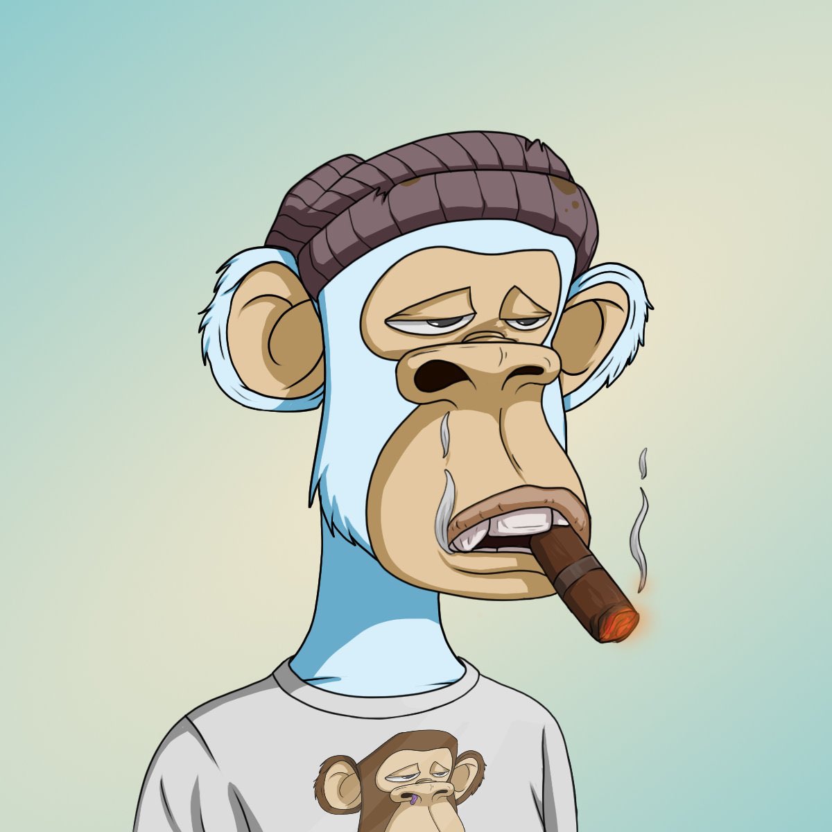 David B. tweet media