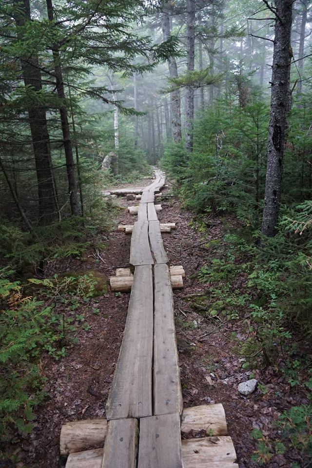 EverydayParks's tweet photo. Wilderness Edge Campground
East Millinocket, Maine
4/5 stars (205 ratings)
#EastMillinocket #Maine https://t.co/zaU7mkuABV