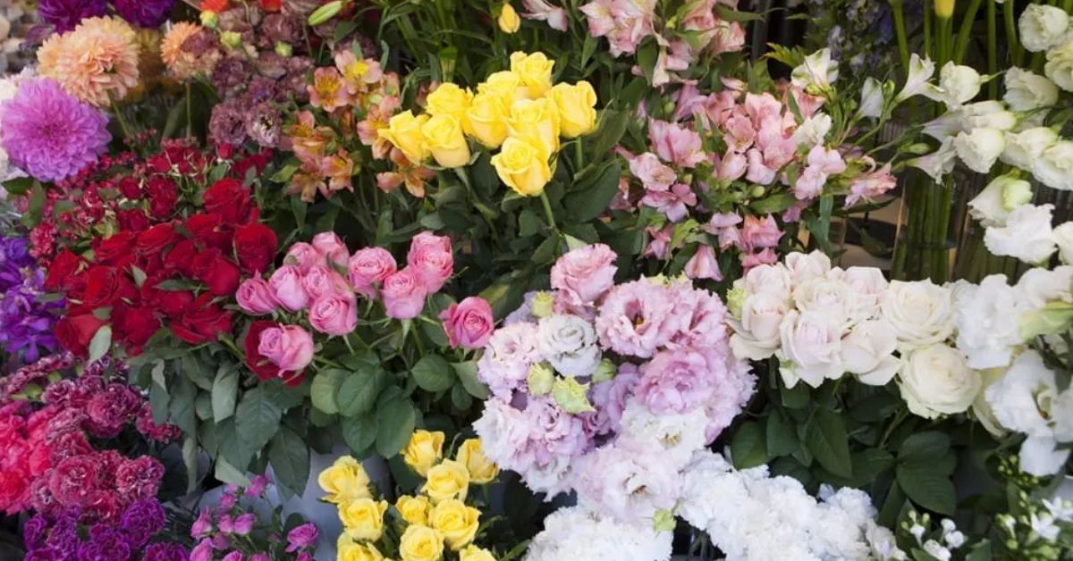 NWIndianaLife's tweet photo. Looking for somewhere to purchase flower arrangements for someone or an event? Strack &amp; Van Til has all the products and services you need.

Read more here: https://t.co/w4u1q6b785

@StrackAndVanTil https://t.co/B2RKEHTKBA