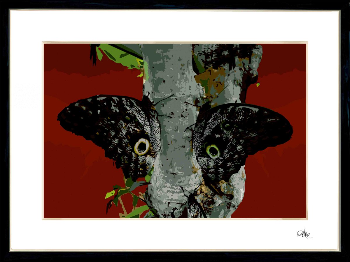 "Eyes of Nature" is part of the NatureArt collection by underwater, wildlife, and documentary photographer <a href="/davidalfarofoto/">David Alfaro</a>.

Created using compositional techniques, light/shadow, and unrealistic perspectives, all inspired by nature.