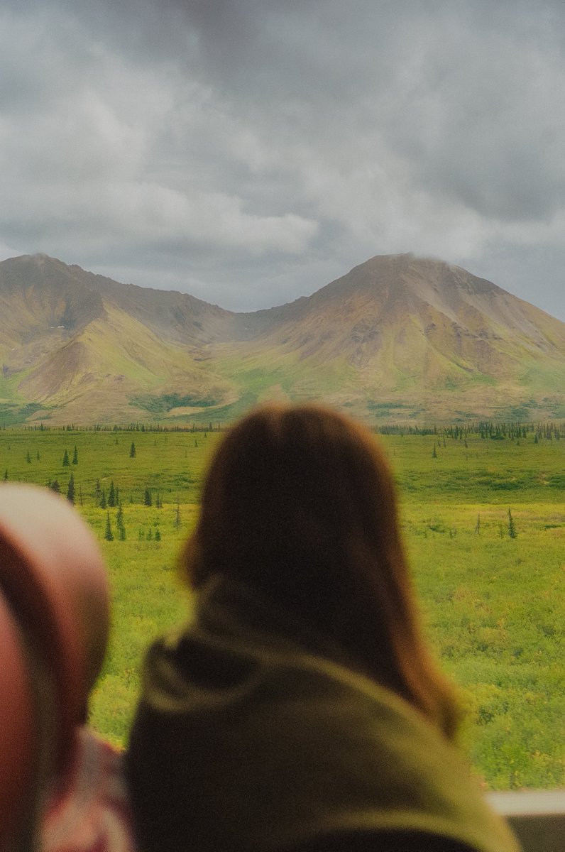 AlexKittoe's tweet photo. Passing Pines 🎞 https://t.co/pqiImpGn1Z