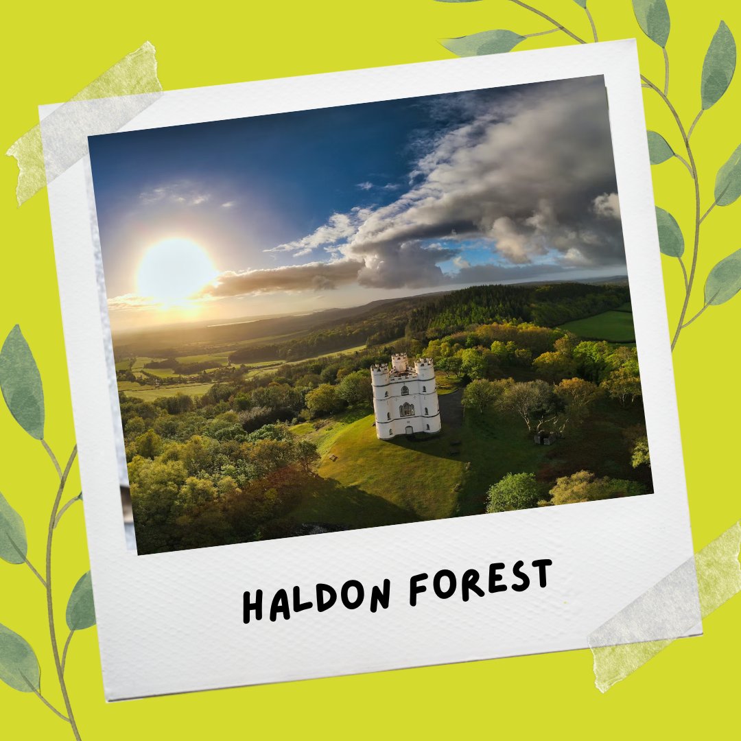 Have you heard of forest bathing? This ancient Japanese practice is all about being quiet amongst the pines, observing nature and breathing deeply to boost health and wellbeing in a natural way 🌲

Give it a go this #InternationalDayofForests.

#LiveandMove #Exeter #Devon