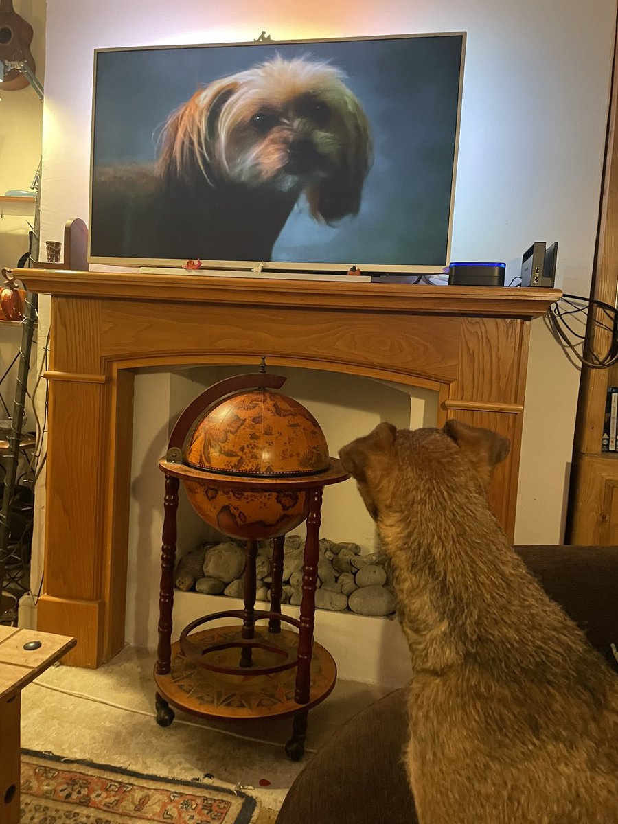 Matt’s House of Music tweet media