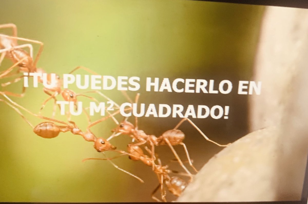 ¿Como cambiar tu metro2? <a href="/ITCIPublica/">ITCIP</a>