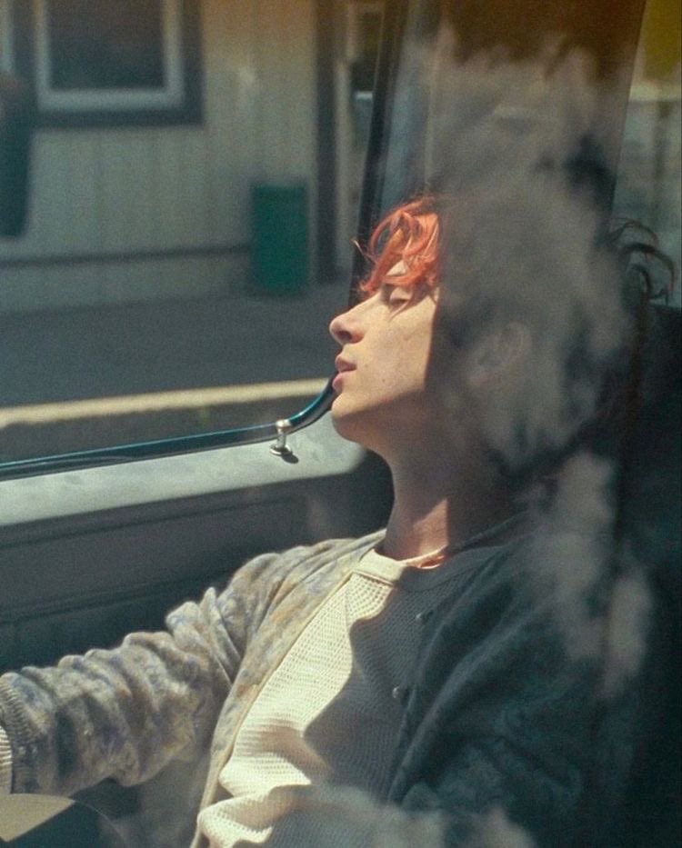 tchalfilms's tweet image. timothée chalamet in car seats as elio perlman in call me by your name (2017) and lee in bones and all (2022)
