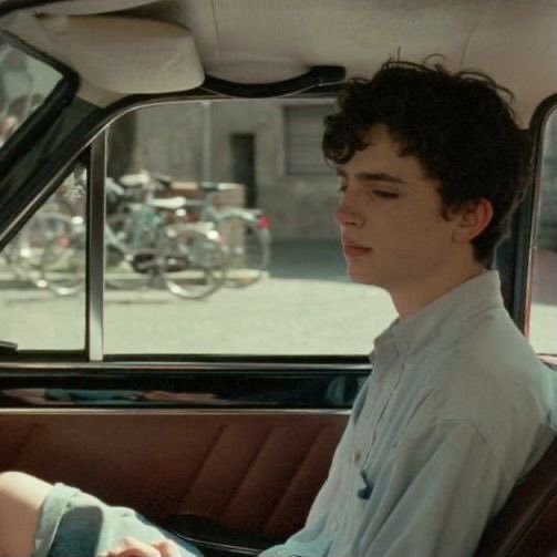 tchalfilms's tweet image. timothée chalamet in car seats as elio perlman in call me by your name (2017) and lee in bones and all (2022)