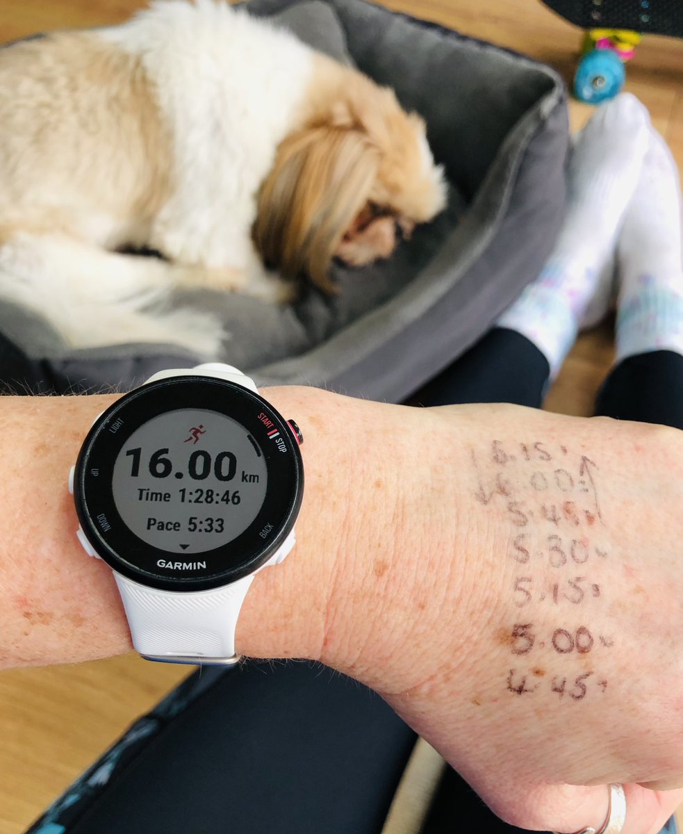 louise84_amy's tweet photo. Pyramid run along the Thames; the plan Vs how it went ๐๐ผ this required a lot of concentration!!๐ค
Great to bump into a friend for the tough middle section though, he kept me going ๐ค๐ผ๐ค๐ผ
#pyramidrun #Running #UKRunChat #halfmarathontraining https://t.co/UtSOA4bIVe