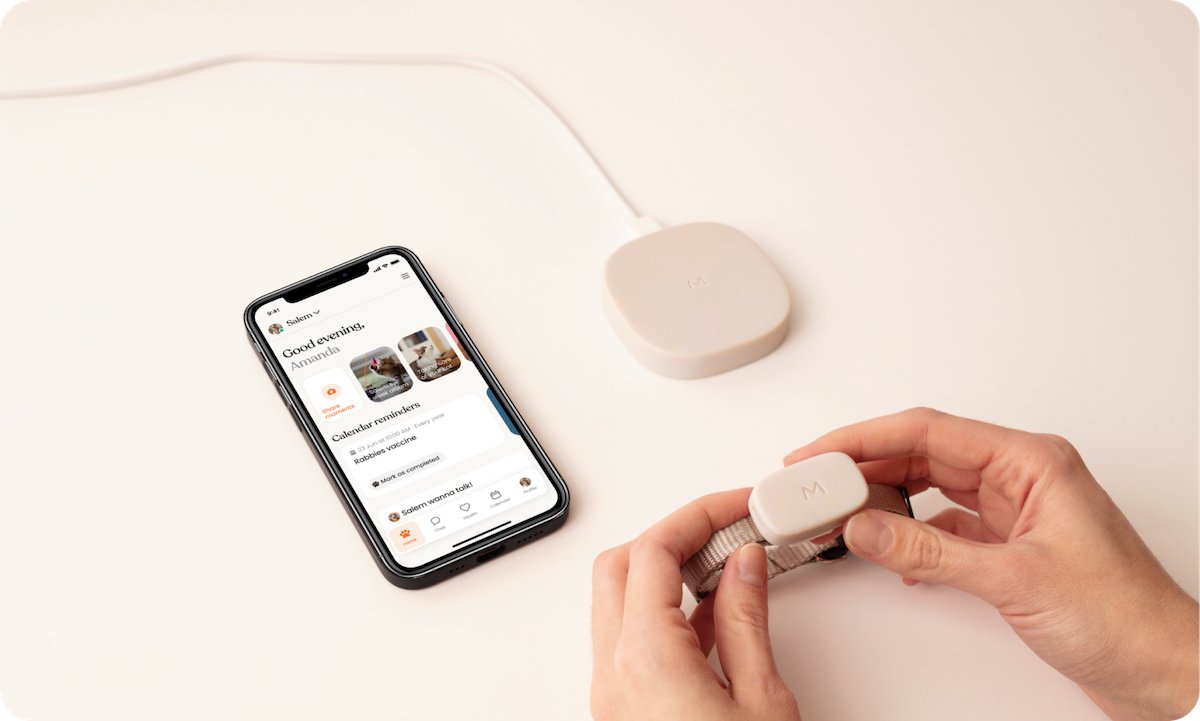 BetaList's tweet photo. Moggie: The first cat-only wearable that lets you know how your cat is doing

https://t.co/HJomftGIuf https://t.co/05cB0hDiE5
