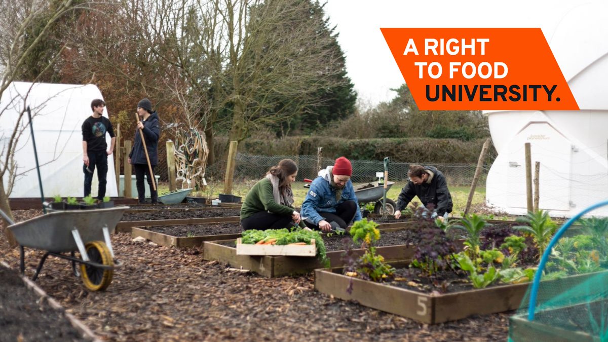 We all have the right to healthy and affordable food, and it's never been more important to find long-term, sustainable solutions to tackling food inequality. 

That's why we're really proud to announce our commitment to becoming a Right to Food university.

#RightToFood