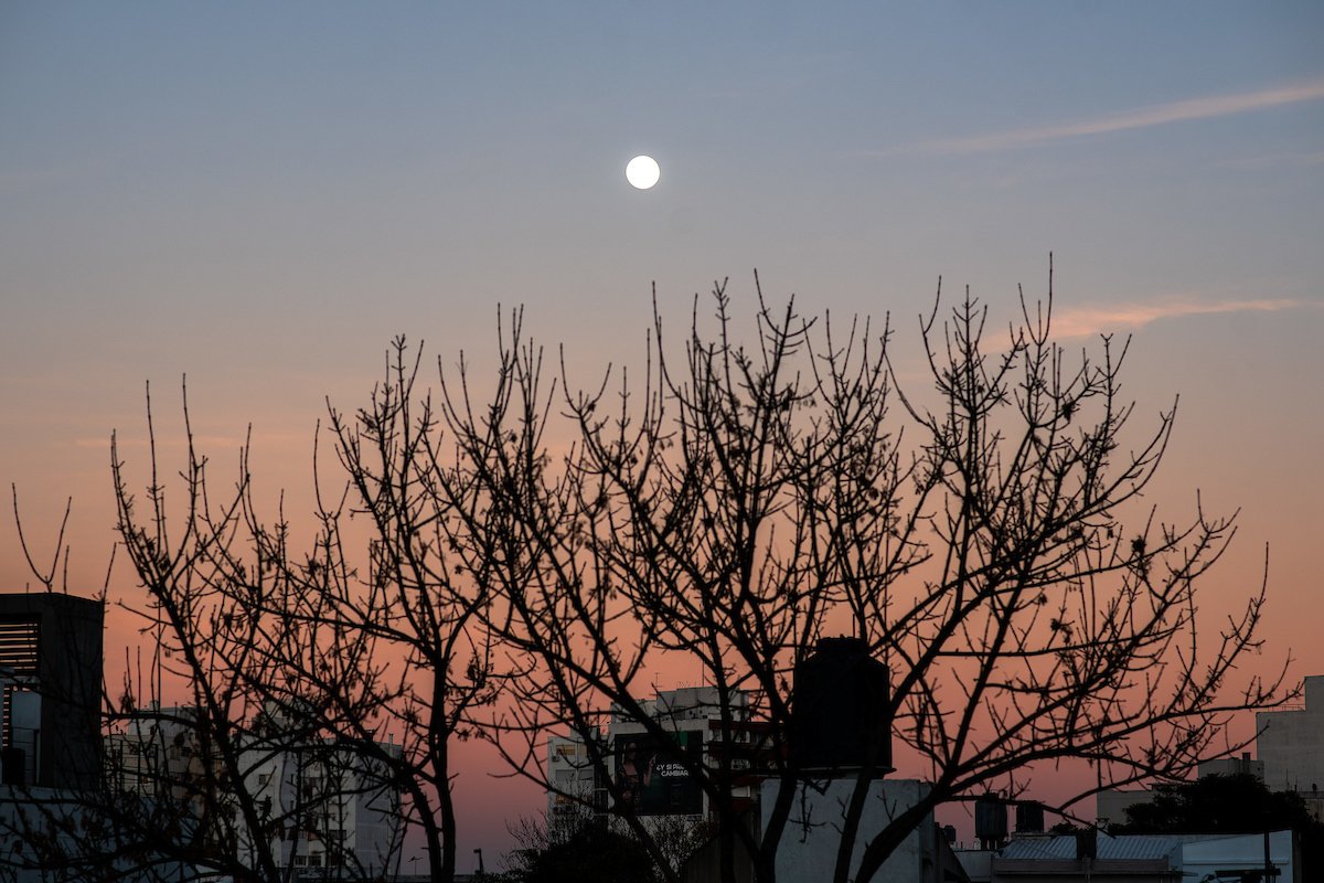 ⛅ Una investigación desvincula el cambio climático de esta sequía en la región.

➡️ Entrevista con Marcelo Barreiro.

📲 notoquennada.uy