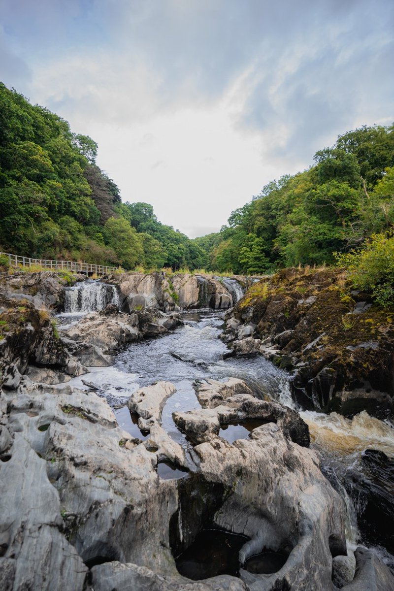 📸📍 Rhaeadrau Cenarth, Sir Gâr Mae Rhaeadrau Cenarth yn bodoli o ganlyniad i Afon Teifi yn llifo drwy’r creigiau a’r clogfeini caled i greu casgliad ysblennydd o raeadrau 🏞 #LlwybrauCeltaidd