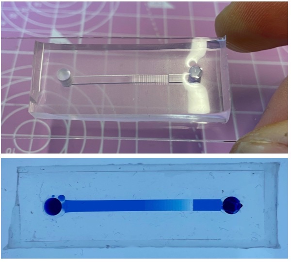 V_Saggiomo's tweet image. Can you use standard #3Dprinters to make #microfluidics for separating #microparticles down to 25 microns? 
Spoiler alert: YES we can on a “staircase microfluidic device” 
But why and how? 
paper: chemrxiv.org/engage/chemrxi…  1/12